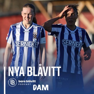 769. DAM Nya Blåvitt