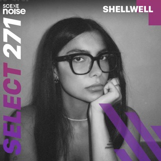 Select 271: Mixed by Shellwell
