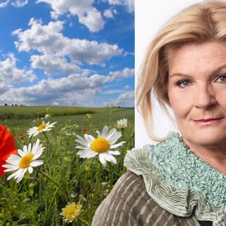 Hur vågar du kritisera detta fantastiska land? Cecilia Uddén, Öland