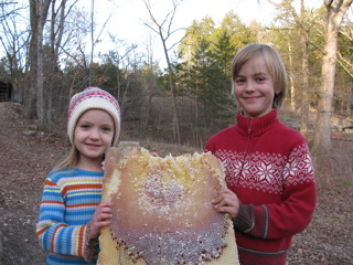 Ep. 142 How to Be a Natural Beekeeper