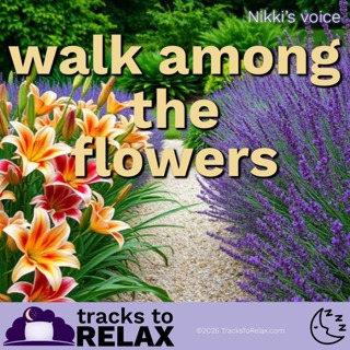A Walk Among The Flowers - Sleep Meditation