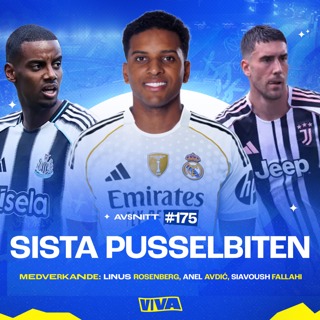 #175 - Sista pusselbiten