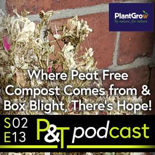Perfect Peat-free Compost & If You Have Box Blight, There's Still Hope!