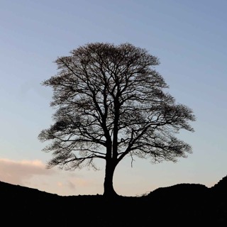 How the Sycamore Gap killers were caught