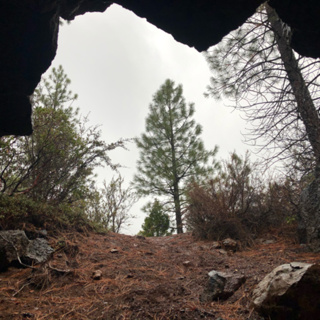 Episode 56: Natural Shelter from the Storm