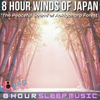 ⛩️ 8 Hour Winds of Japan | The Peaceful Sound of Aokigahara Forest (No Music) | Steady Wind Sounds for Deep Sleep 💨