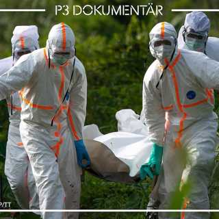 Ebolaviruset