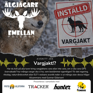 265. Vargjakt!?