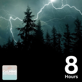 Forest Thunderstorm Ambience (8 Hours) | Rain Sounds for Sleep or Focused Study