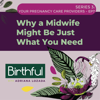 Why A Midwife Might Be Just What You Need, with Melissa Cheyney