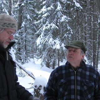 Livet i en gran, orkidéer i blom och halländsk geologi på Getterön
