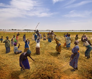 Low Skills Low Wages: Eric Maskin on Inequality