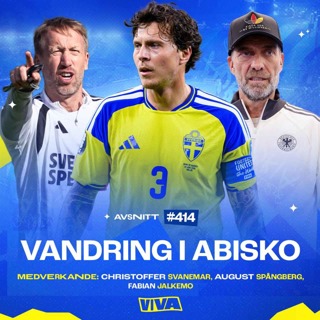 #414 Vad är rimliga förväntningar på de svenska landslaget? | Drömklubben att vara ägare i