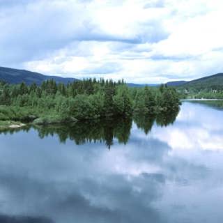 Skogens vatten - småländska Svanån