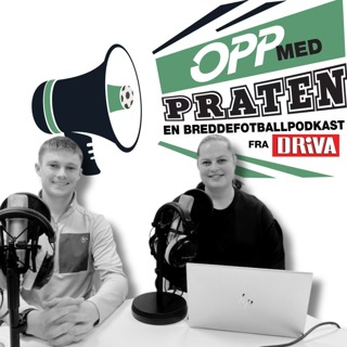 Alvorlig skade og overraskelseslag