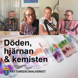 Strypvåld