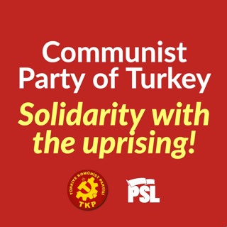 Communist Party of Turkey: Justice for George Floyd! Solidarity with the uprising!