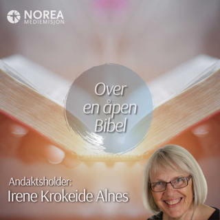 E2546 -1-Irene Krokeide Alnes - Guds skapende hånd