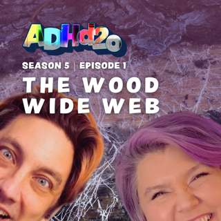 The Wood Wide Web