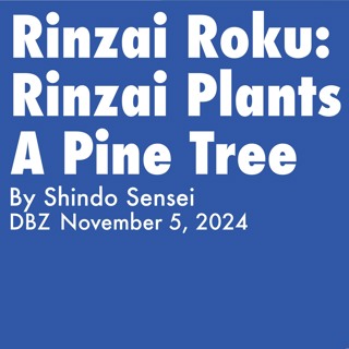 2024.11.05 Rinzai Roku- Rinzai Plants A Pine Tree, By Shindo Sensei, DBZ Harvest Sesshin