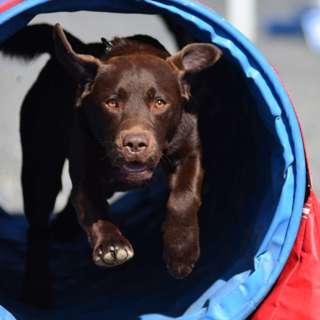 Episode 5 - Om kunnskap, flytende adferder og et par ord om "Herr Hansen"