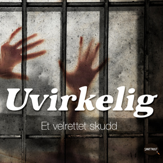 Gjenhør: Et velrettet skudd