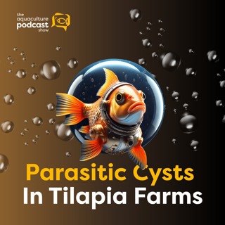 Parasitic Cysts In Tilapia Farms | Ep. 63