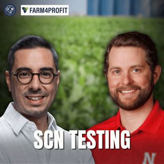 Soybean Cyst Nematode: The Silent Threat Stealing Your Yield
