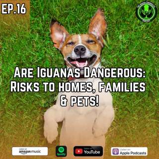Are Iguanas Dangerous? South Florida’s Hidden Risks to Humans, Pets, and Property