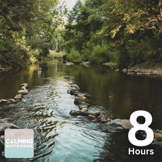 Calming Stream Sounds (8 Hours) | White Rock Creek - Dallas, Texas
