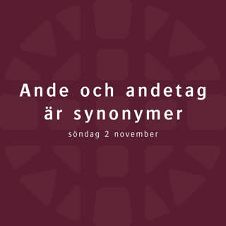 Ande och andetag är synonymer – Robert Eriksson