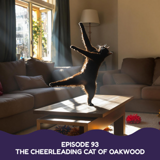 The Cheerleading Cat of Oakwood