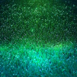 😴🌧️🎵 FALL ASLEEP Quickly with the Sound of RAIN and a Soft MELODY