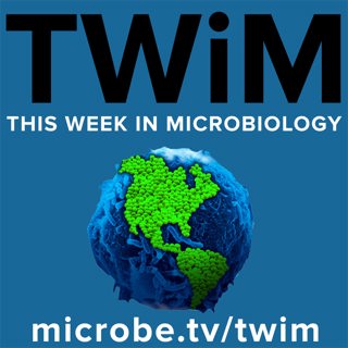TWiM 131: Mice behaving badly