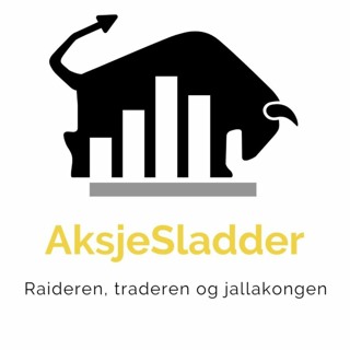 Tidenes korteste bearmarked eller ny nedtur?