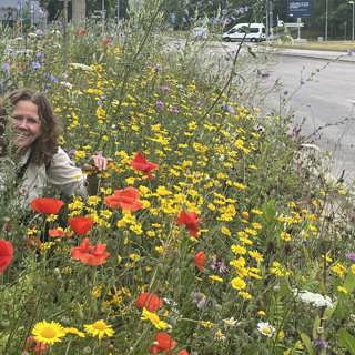 Längsta blomsterängen - gör både bin och människor lyckliga