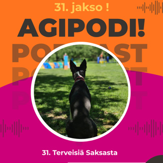 31. Terveisiä Saksasta