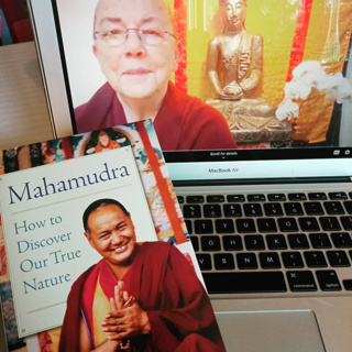 6. Mahamudra: How to Discover Our True Nature - Sunday Session 4