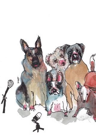 LIVE: Etologen och hundpsykologen svarar DEL 1