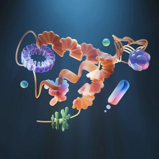 Science, AI, and illusions of understanding