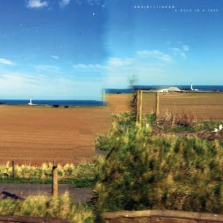 A Duck in a Tree 2025-10-18 | A Tension of Repetition and Evolution