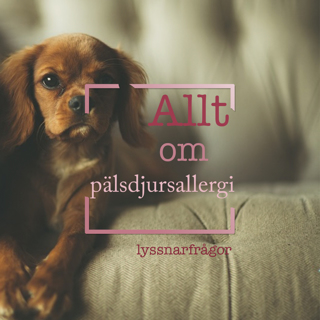 Allt om pälsdjursallergi [Lyssnarfrågor]