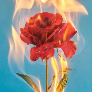 The Death of Romance