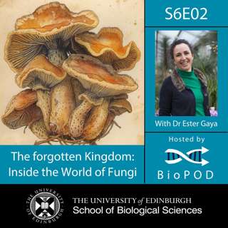 The forgotten Kingdom: Inside the World of Fungi