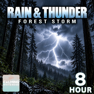 Rain and Thunder in a Forest | 8 Hour Sleep Sounds