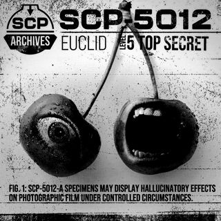 SCP-5012: "There is No Escape from the Bottomless Pit."