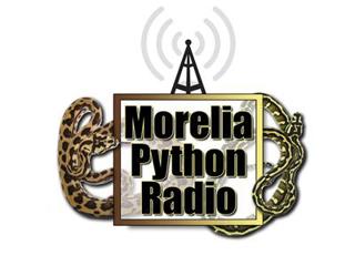 Ari Flagle joins us tonight for some boelen python talk!