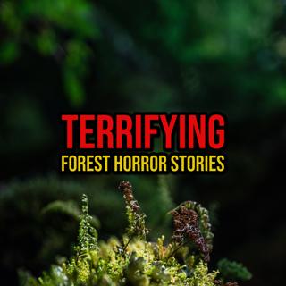 S6 Ep312: Episode 312: Terrifying Forest Horror Stories