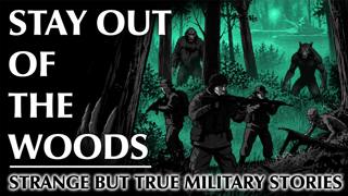 Stay Out of the Woods