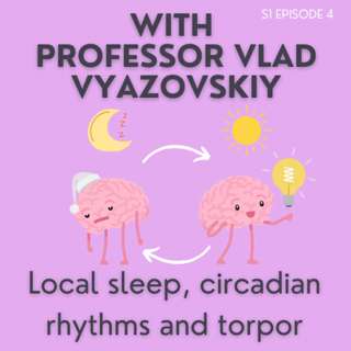 Episode 4: Vlad Vyazovskiy - Local sleep, circadian rhythms and torpor